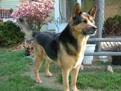 08_DSCF0007J
