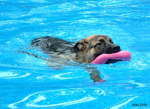 08_D2_04_P_swim